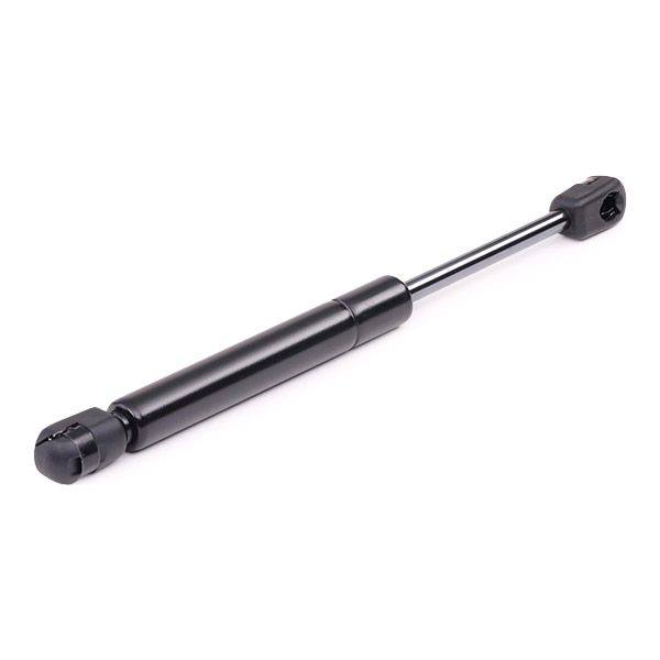 Gas Spring, boot/cargo area