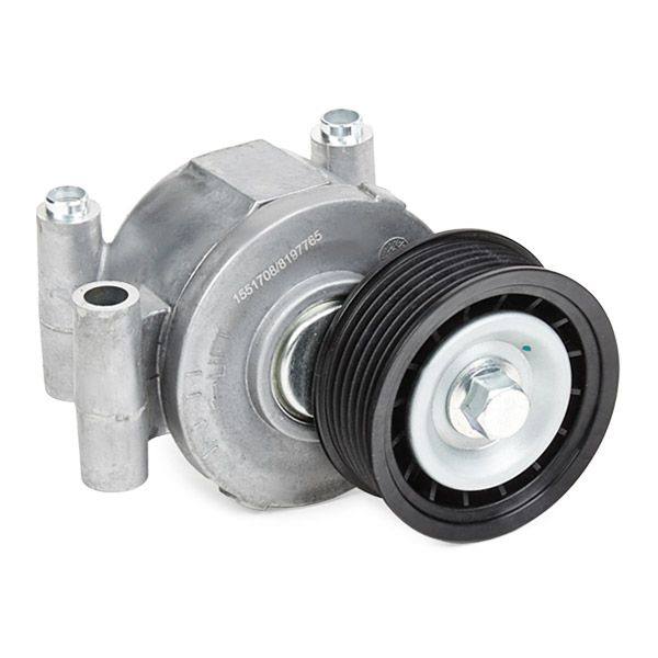 Tensioner Pulley, V-ribbed belt