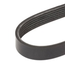 V-ribbed Belt