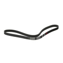 V-ribbed Belt
