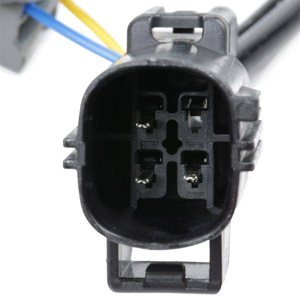 Oxygen Sensor
