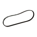 V-ribbed Belt