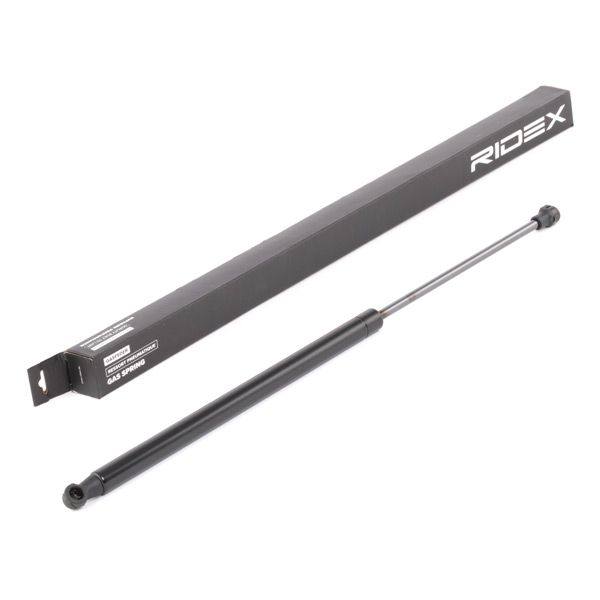 Gas Spring, boot/cargo area