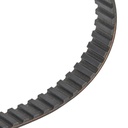 Timing Belt