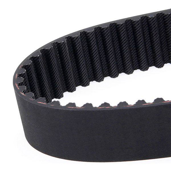 Timing Belt