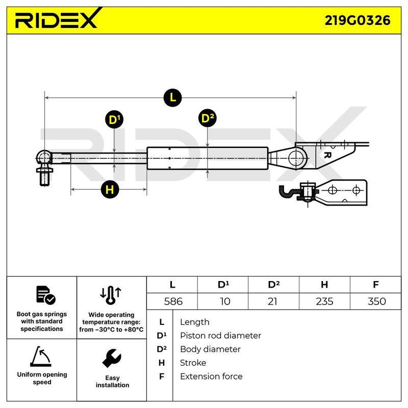Gas Spring, boot/cargo area
