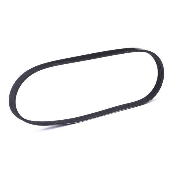 V-ribbed Belt