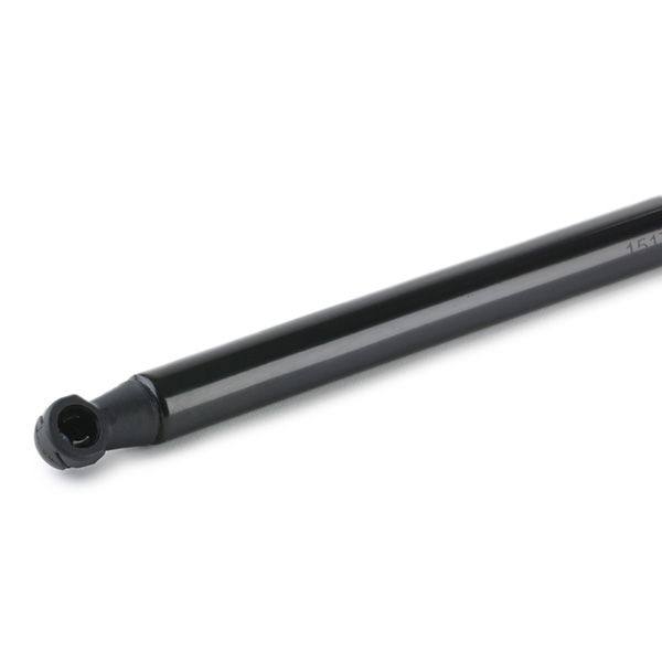 Gas Spring, boot/cargo area
