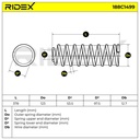 Suspension Spring