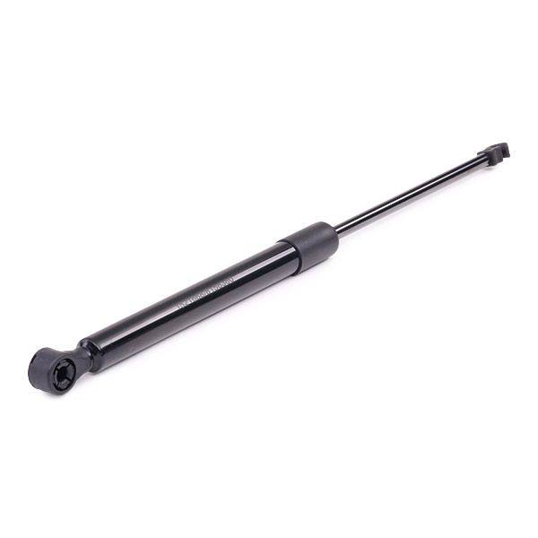 Gas Spring, boot/cargo area