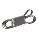 V-ribbed Belt