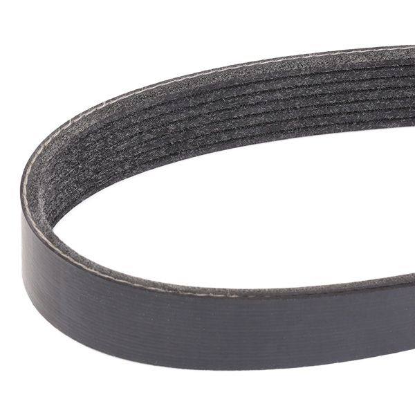 V-ribbed Belt