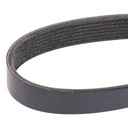 V-ribbed Belt