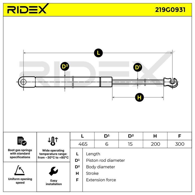 Gas Spring, boot/cargo area