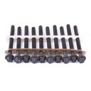 Cylinder Head Bolt Set