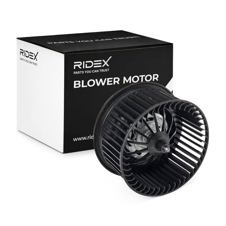 Interior Blower