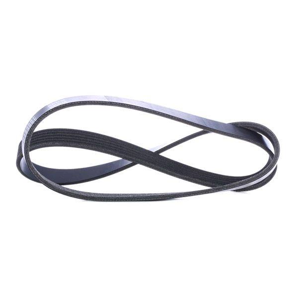 V-ribbed Belt