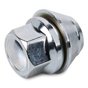 Wheel Nut