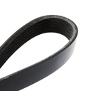 V-ribbed Belt