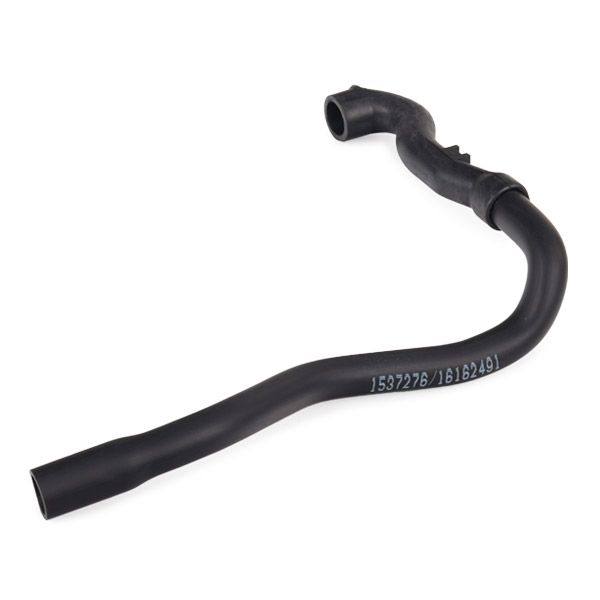 Hose, crankcase ventilation