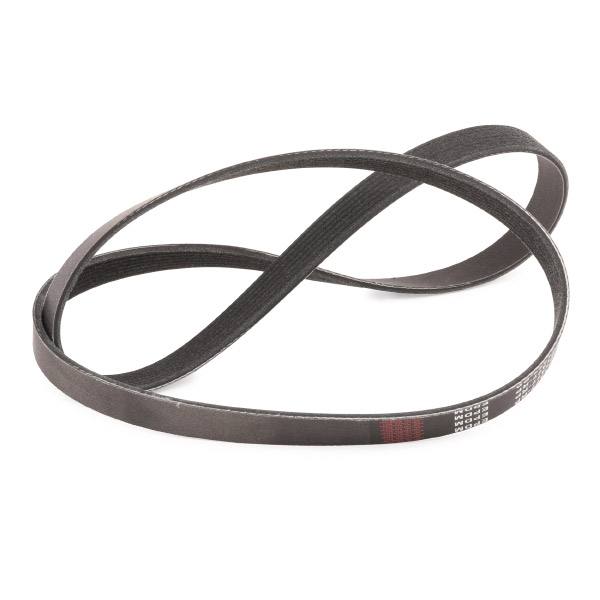 V-ribbed Belt