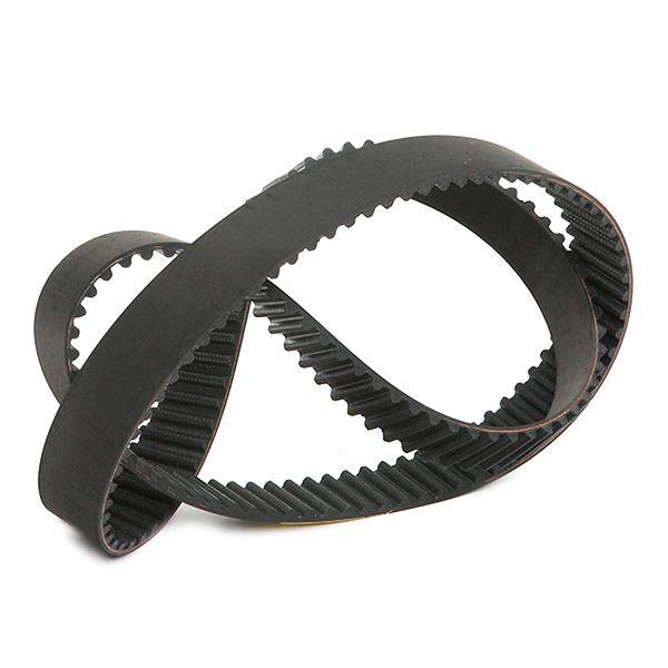 Timing Belt