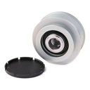 Alternator Freewheel Clutch
