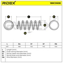 Suspension Spring