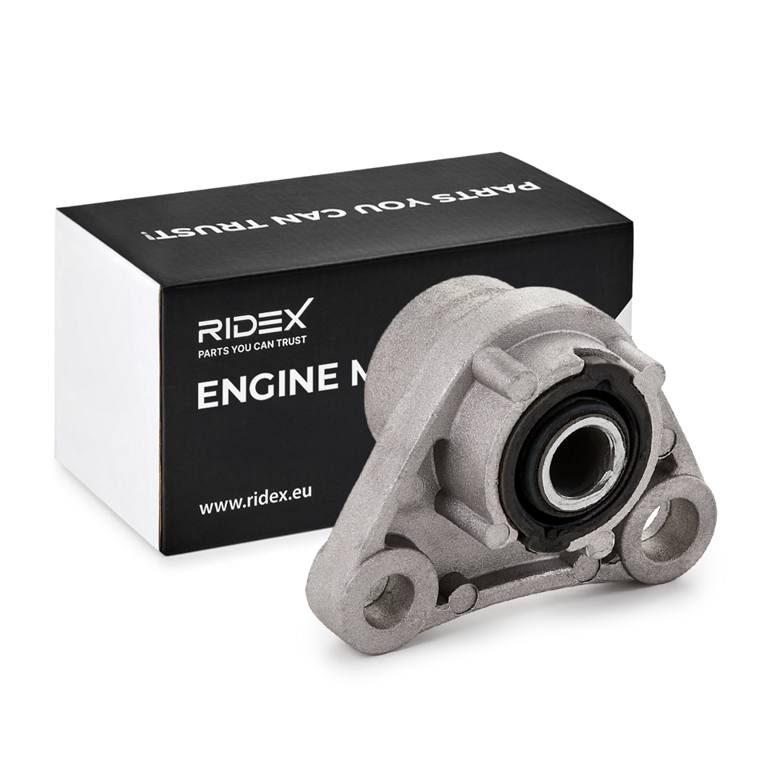 Mounting, engine