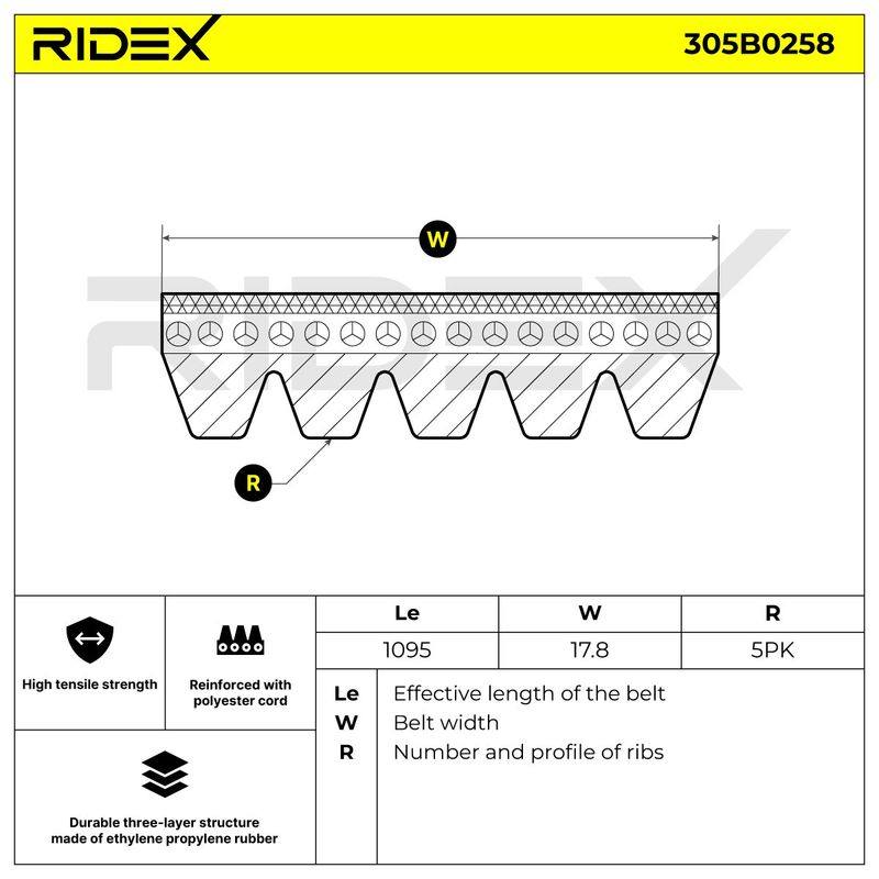 V-ribbed Belt