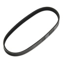 V-ribbed Belt