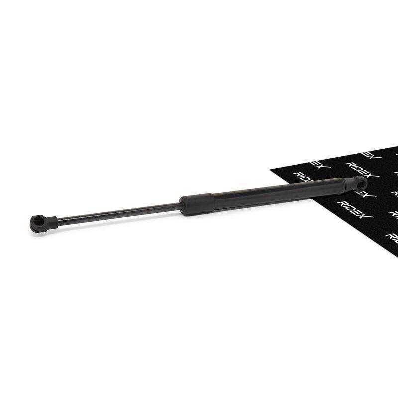 Gas Spring, boot/cargo area