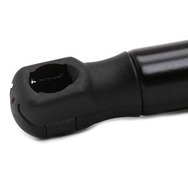 Gas Spring, boot/cargo area