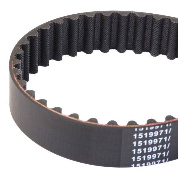Timing Belt