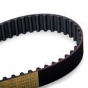 Timing Belt