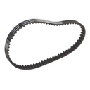Timing Belt