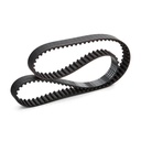 Timing Belt