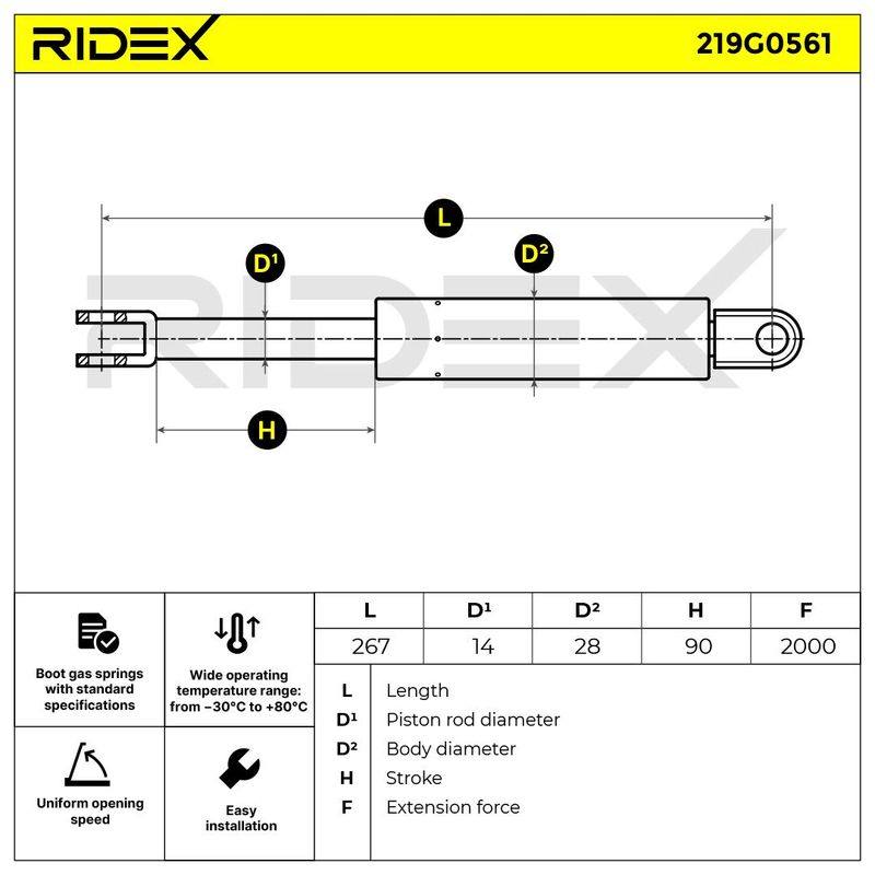 Gas Spring, boot/cargo area