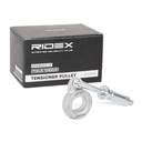 Tensioner Lever, V-ribbed belt