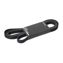 V-ribbed Belt