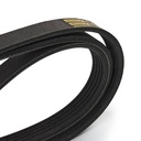 V-ribbed Belt
