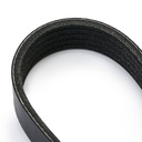 V-ribbed Belt