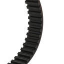 Timing Belt