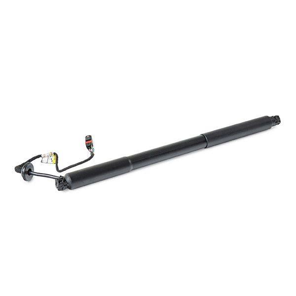 Gas Spring, boot/cargo area