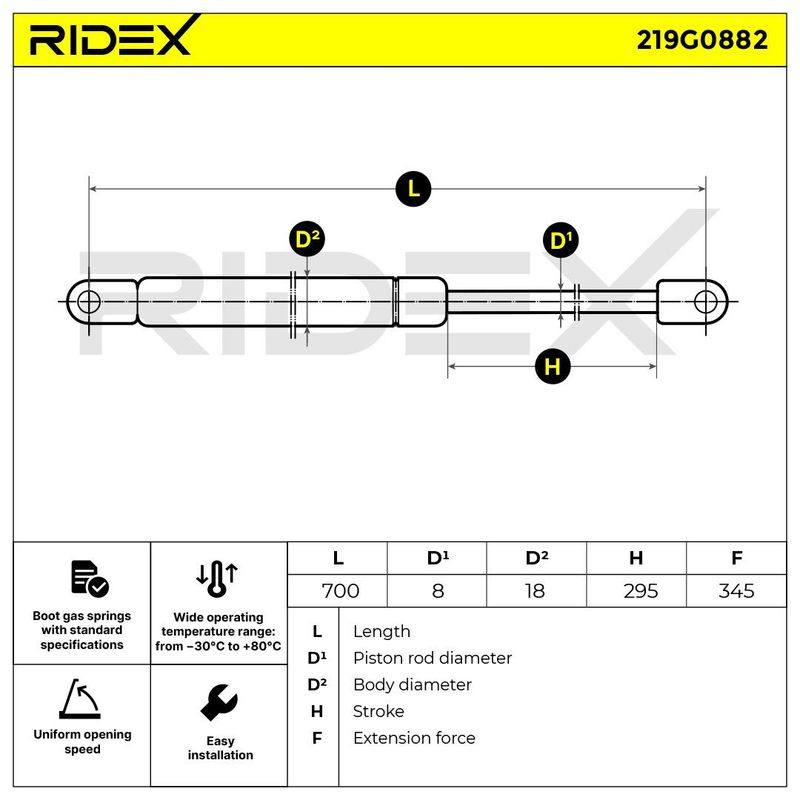 Gas Spring, boot/cargo area
