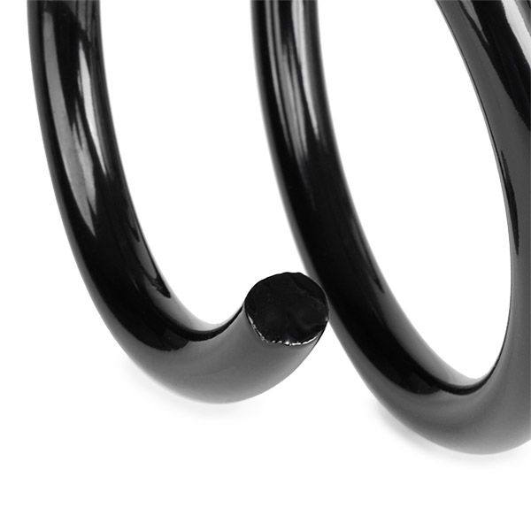 Suspension Spring
