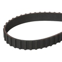 Timing Belt