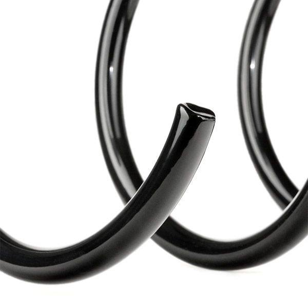 Suspension Spring