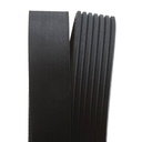 Water Pump + V-ribbed Belt Kit