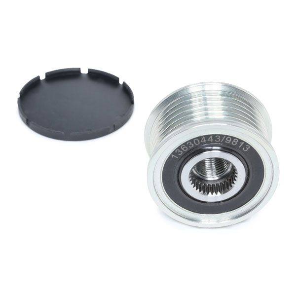 Alternator Freewheel Clutch